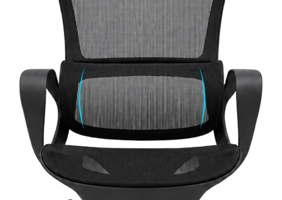 3D Matrix Lumbar Support