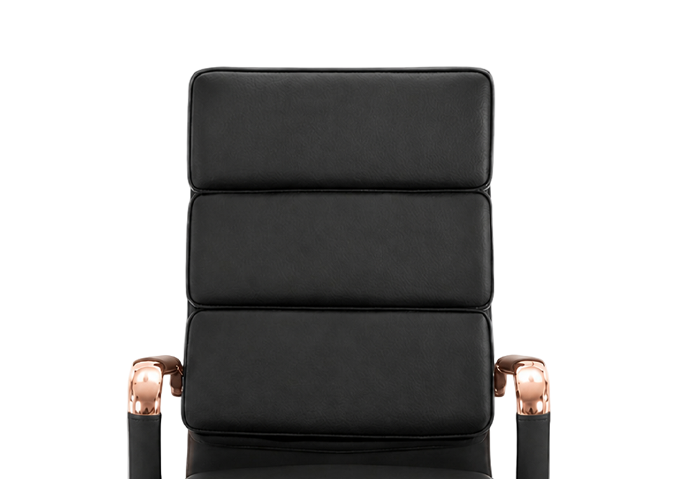 Generously Padded Seat & Backrest