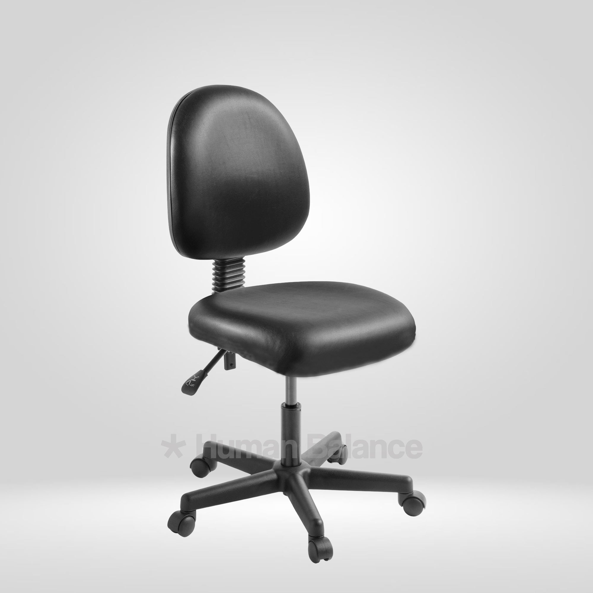 Rovian Lab Chair