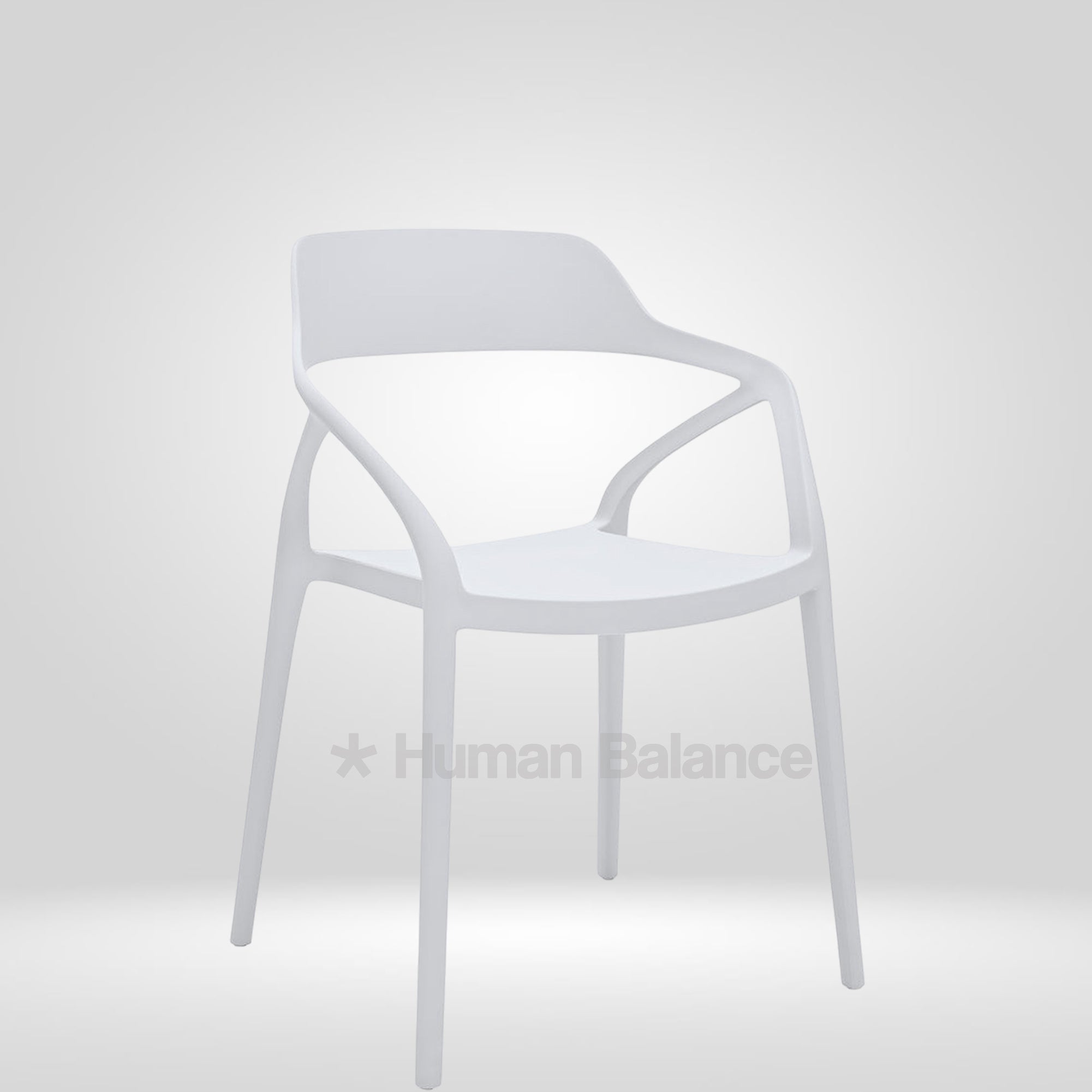 Sascha ( Pack of 2)