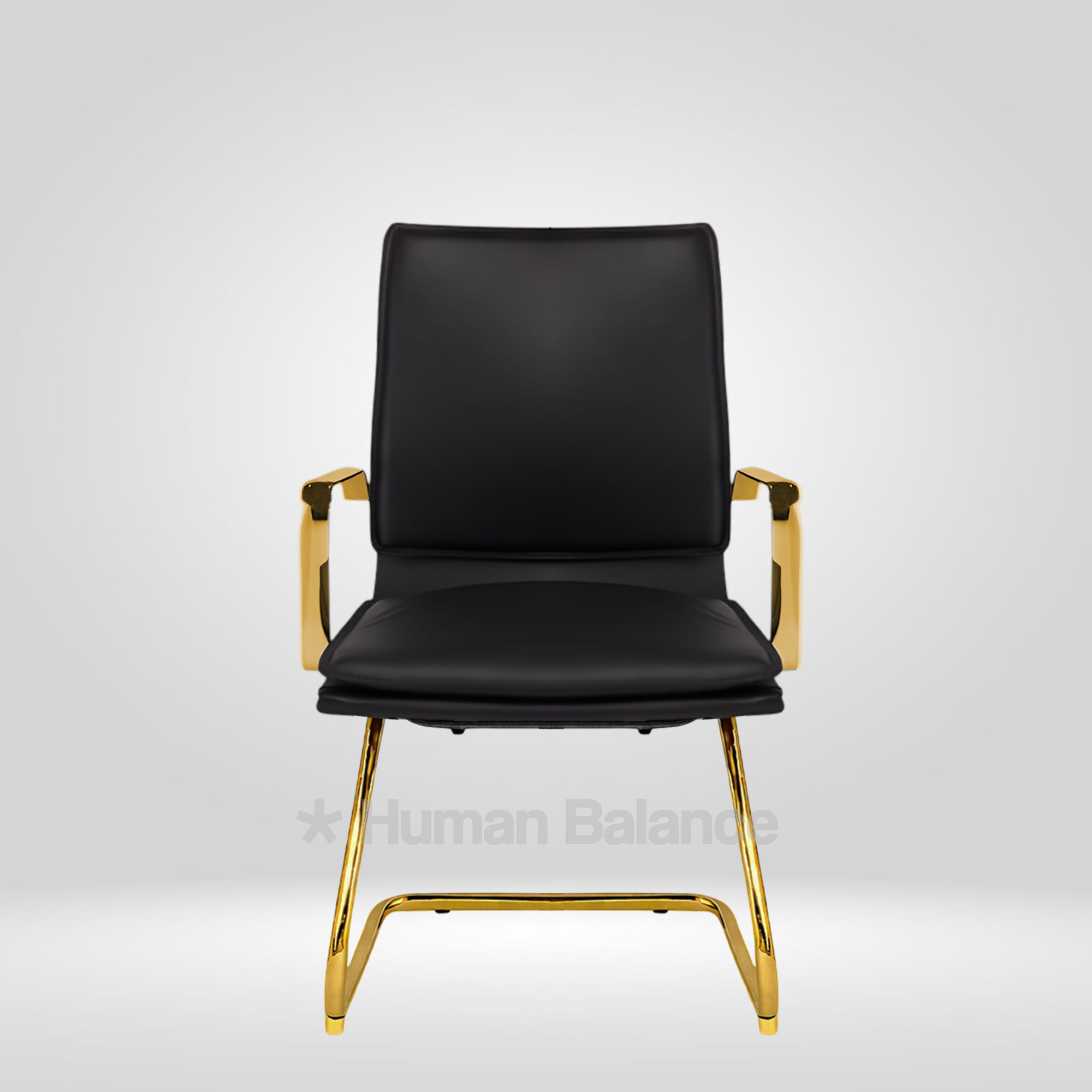 Sintra Double Cushion Cantilever Gold Frame