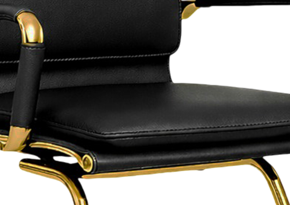 Gold Metallic Frame