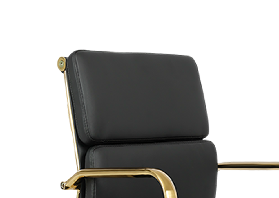 Generously Padded Seat & Backrest
