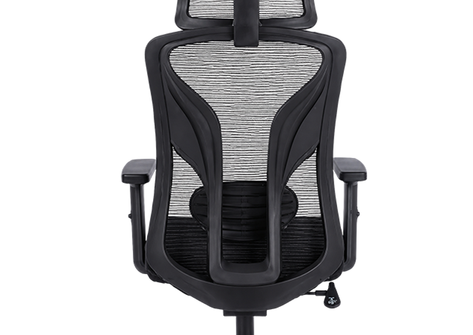 Integrated Lumbar Support