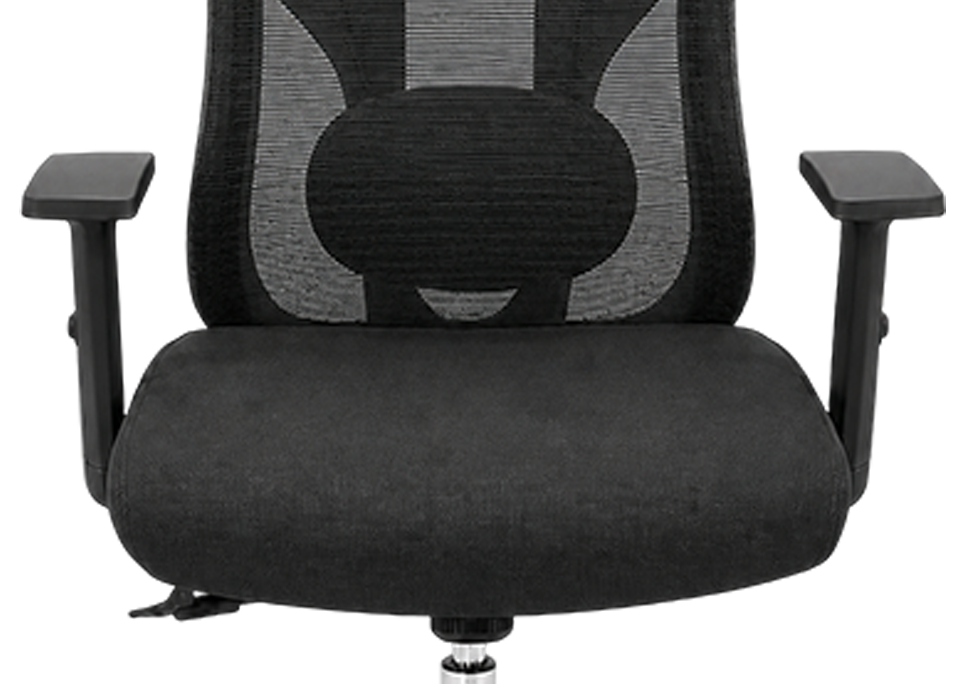 Medium Density Cushioned Seat