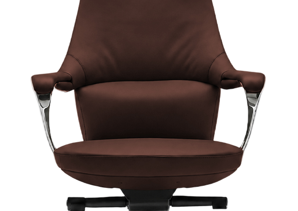 Sycamore HB Brown 4