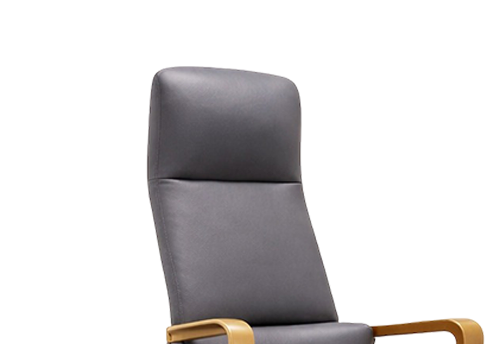 Seamlessly Integrated Headrest