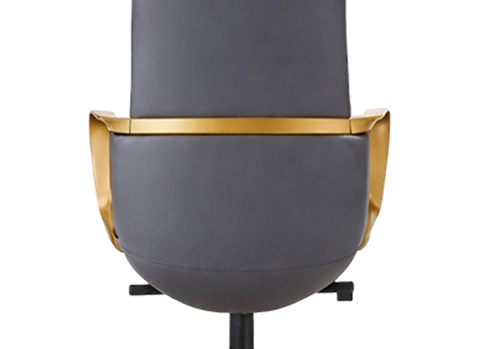 Concave Lumbar Curve