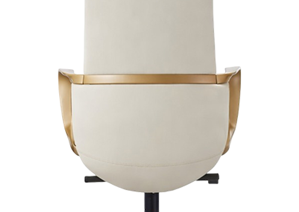 Concave Lumbar Curve