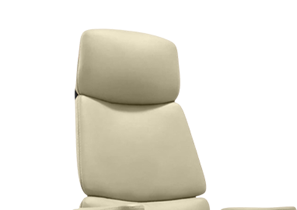 Integrated Cushioned Headrest