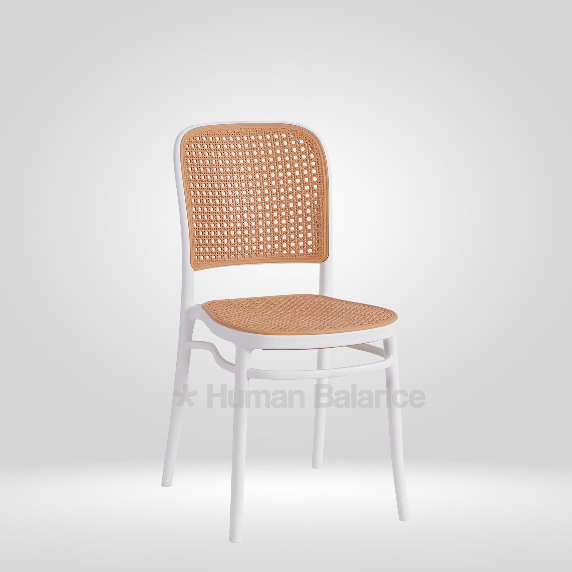 Hollander White ( Pack Of 2 )