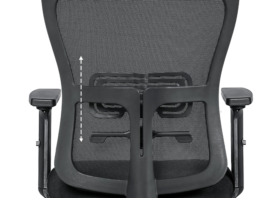Dual Axis Lumbar Adjustment
