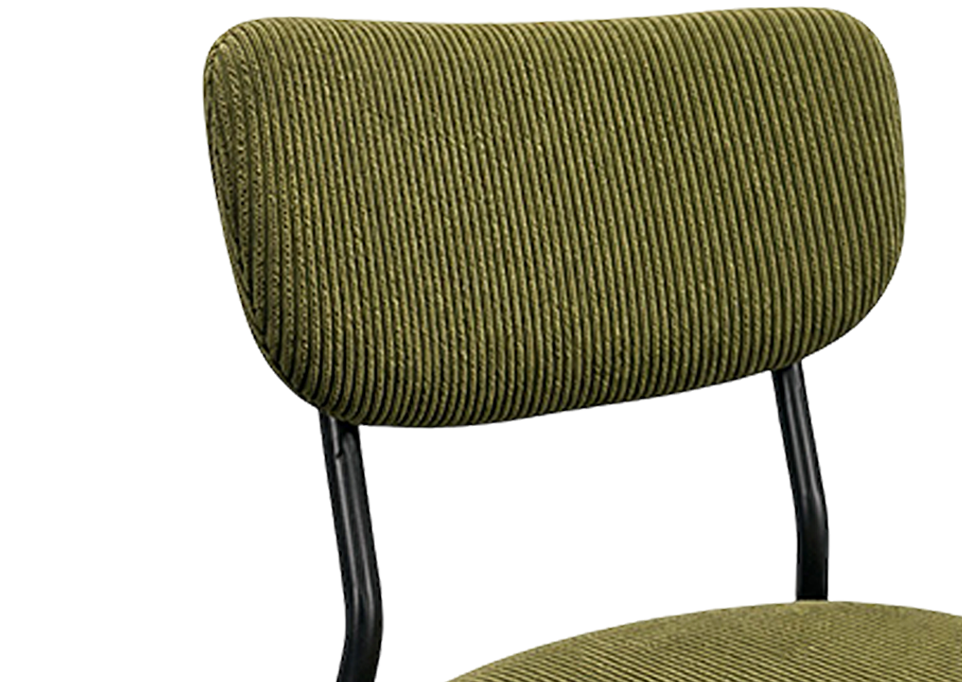 Cushioned Backrest & Seat