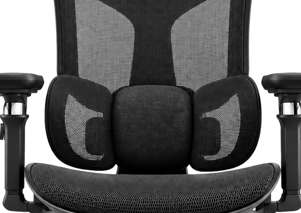 Dynamic Three Zone Bow Tie Lumbar Structure