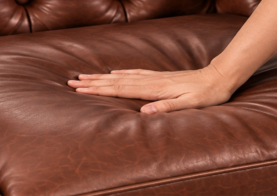 Plush Density Cushion