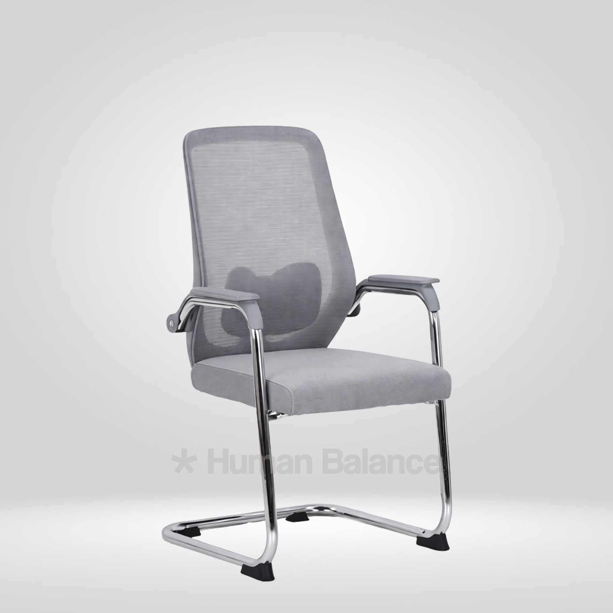 Lotus Grey