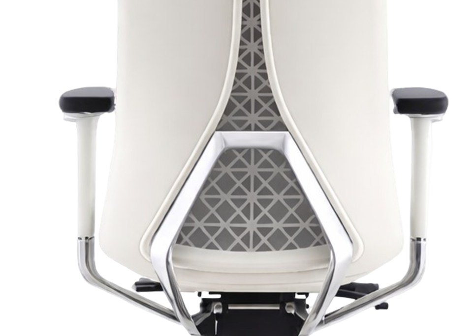Tri Frame Structural Spine