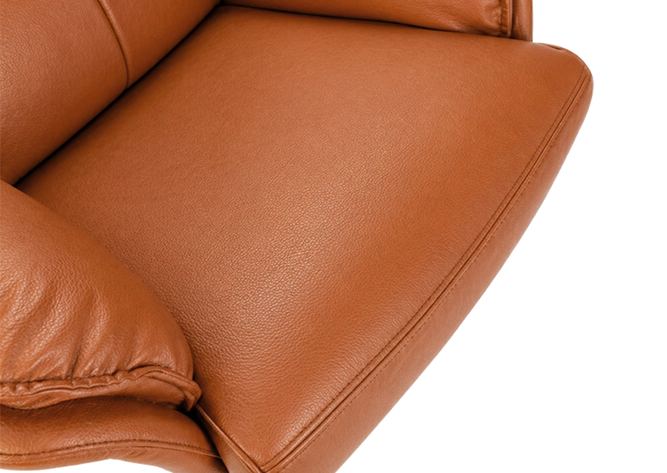 Ultra Plush High Density Cushion