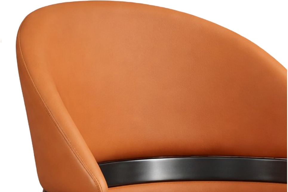 Curved Back Panel