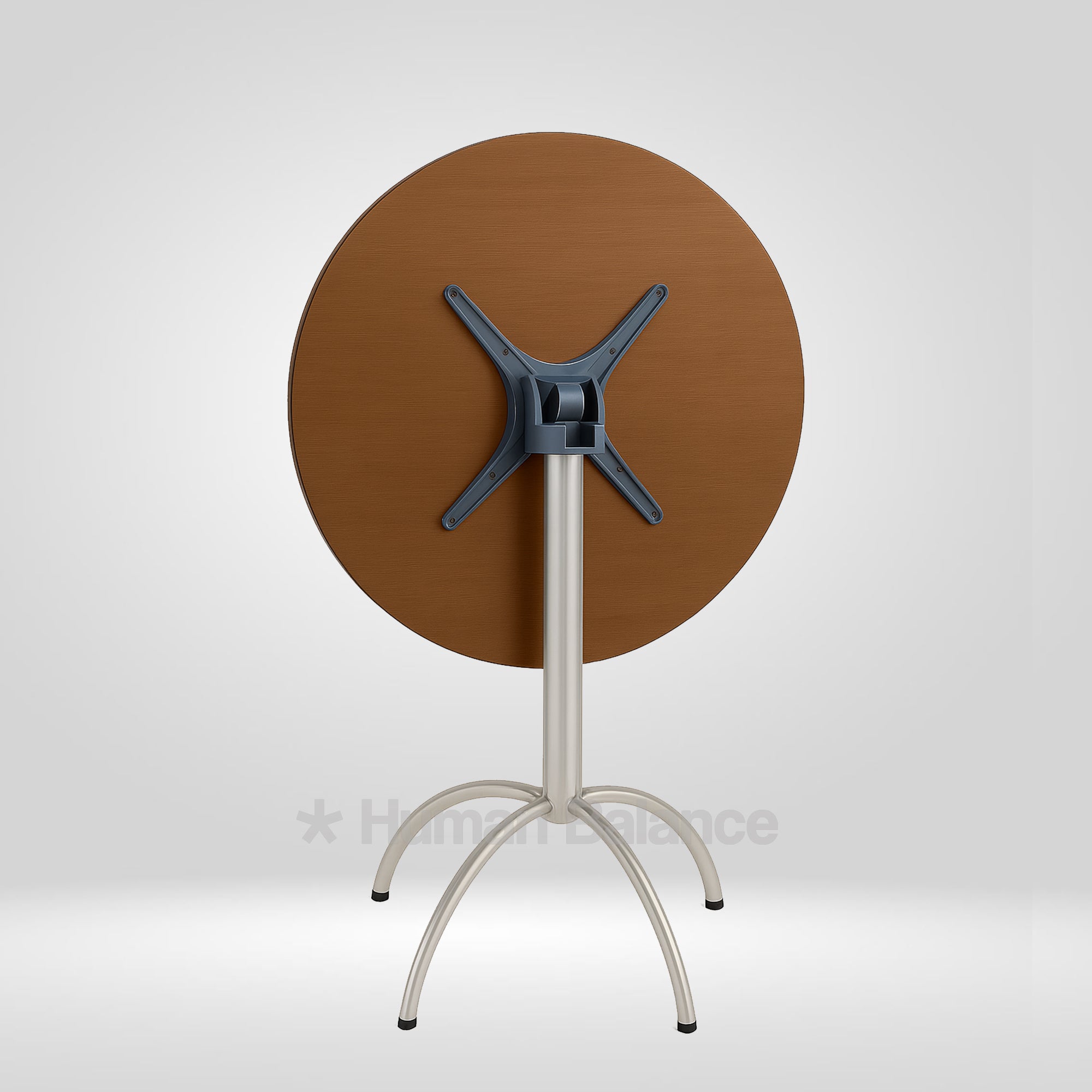 Raros Folding table
